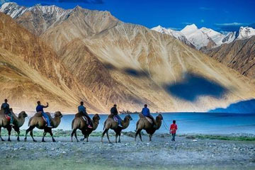 Ladakh Tours